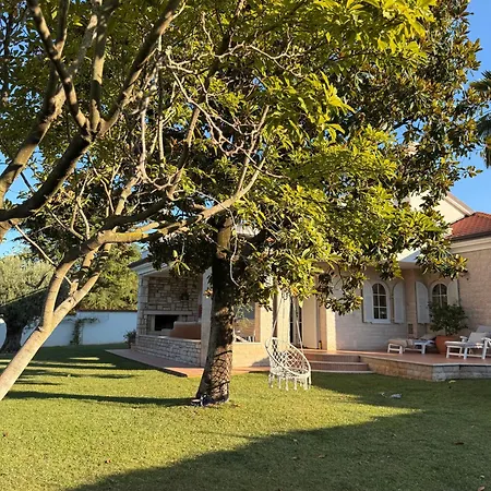 Tatil Evi House M