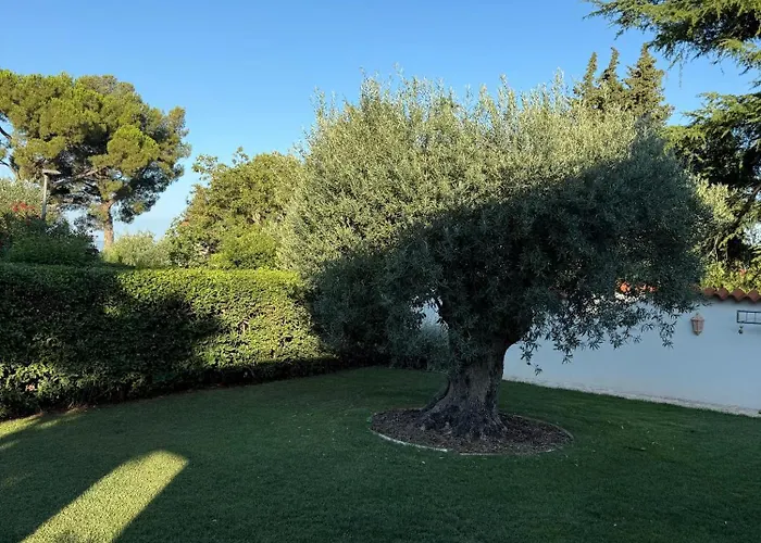 Holiday home House M Pelegrin